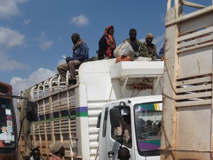 Viehtransport nach Nairobi